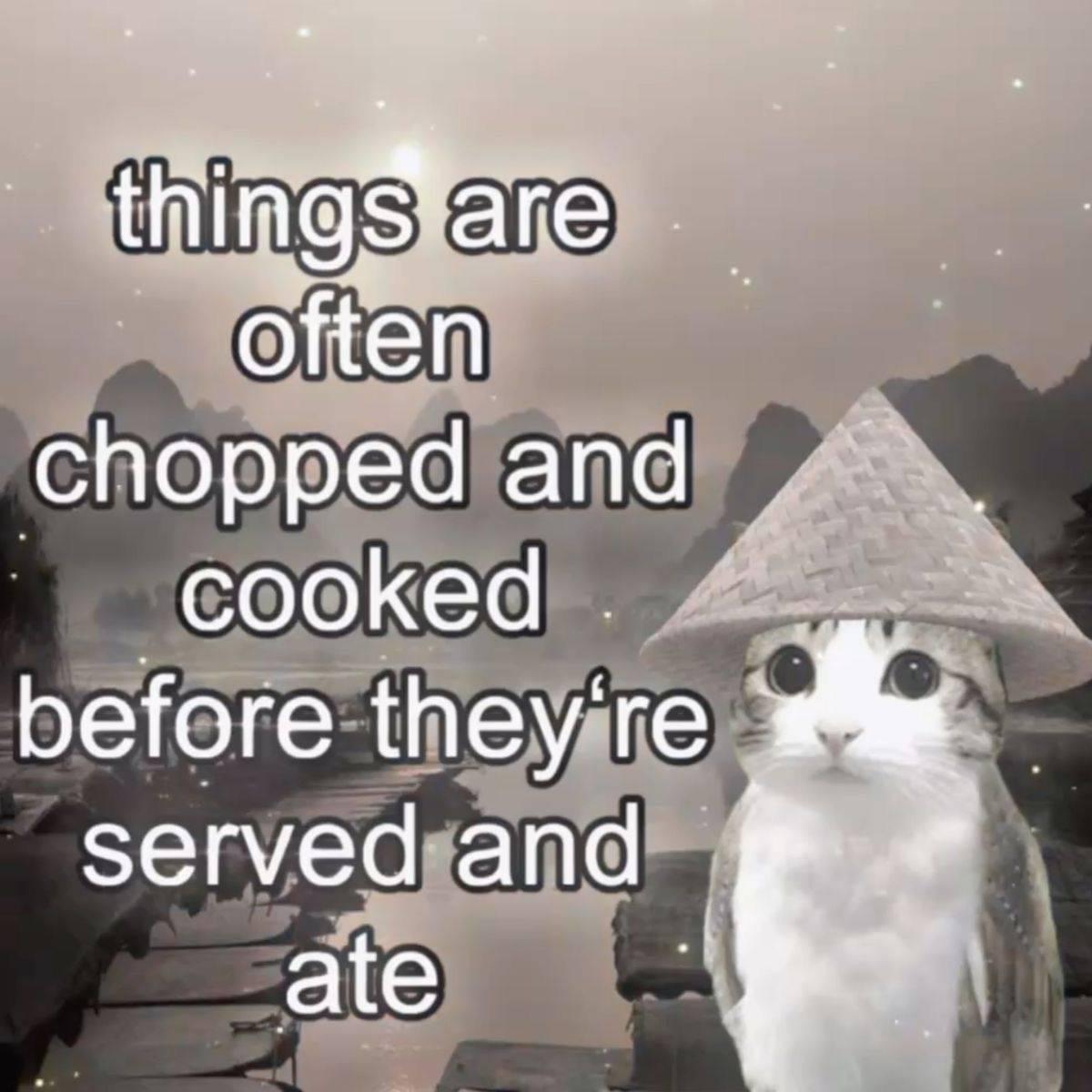 Vore😔irl redd.it/1opm74h