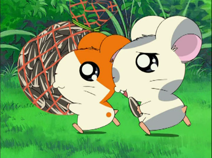 Episode 254, Paradaichu 61: 