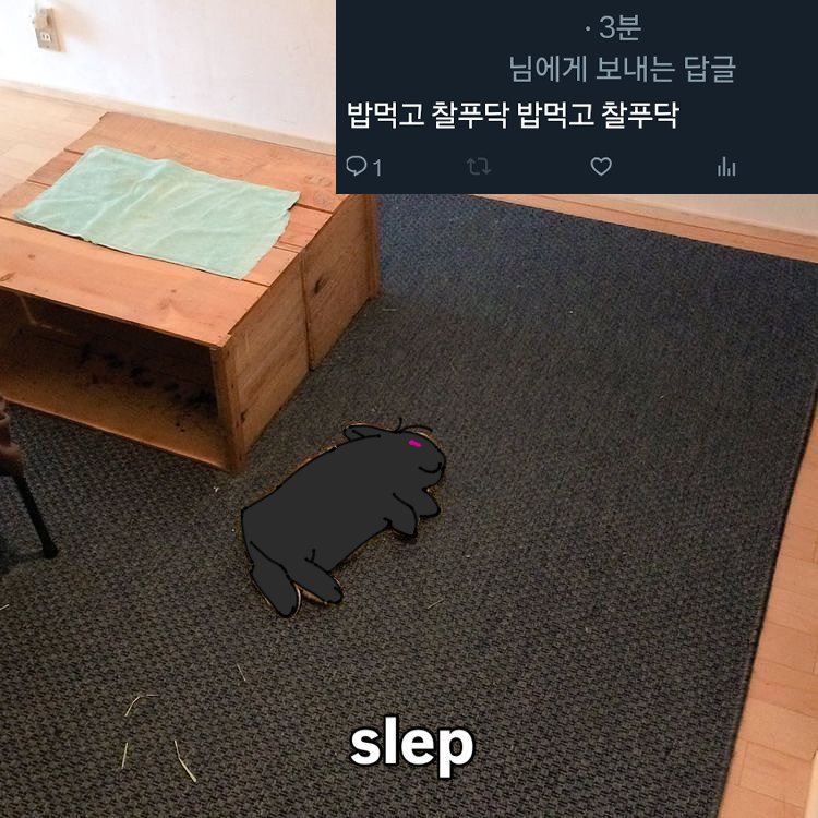 #마차살
알제리 루카스