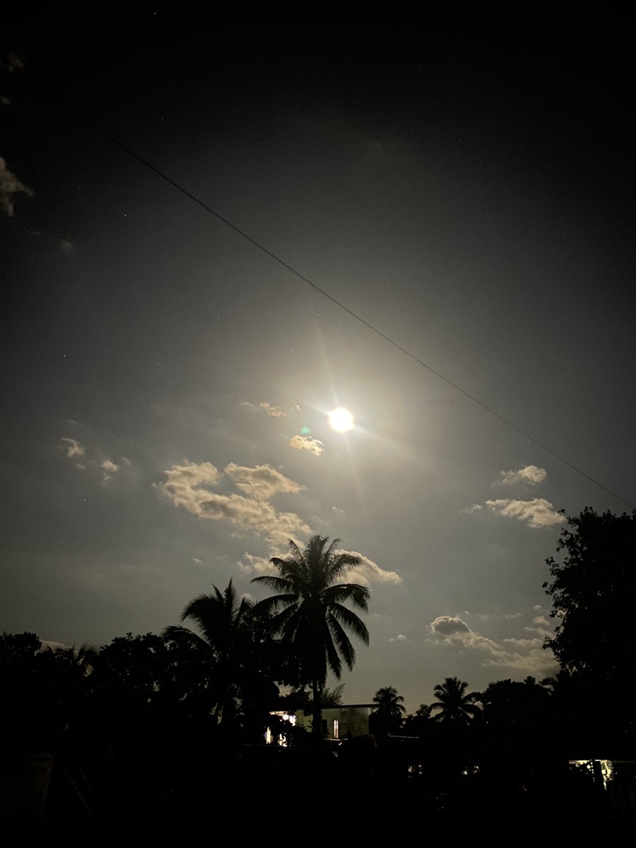 chesel's tweet image. i know 😌