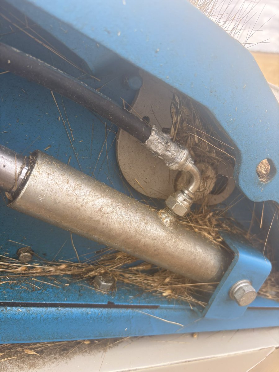 Dylan Hirsch tweet media