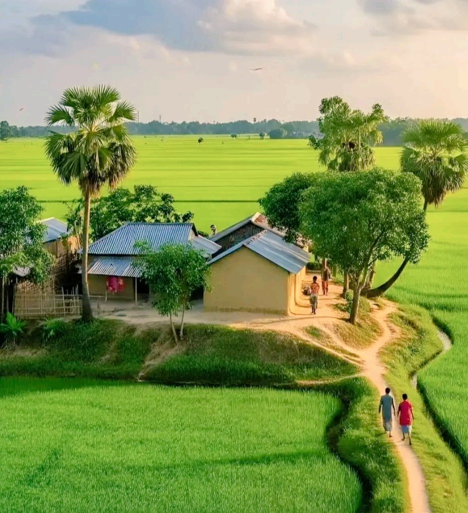 ImJPramodY's tweet image. शहर की भाग-दौड़ से दूर
गाँव की मिट्टी में एक अलग ही सुकून है। 
सुबह की पहली किरण चिड़ियों की चहचहाहटऔर खेतों की ताज़ी हवा
 यही है असली ज़िंदगी।