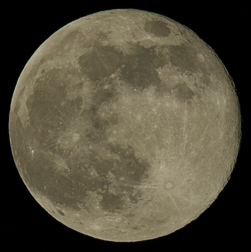 Dougethug's tweet image. Handheld. Tonight. 25° altitude. Canon T7 cheap DSLR. 1/800 sec, F9, ISO 200. Texas #moon #notmonetized! #zen