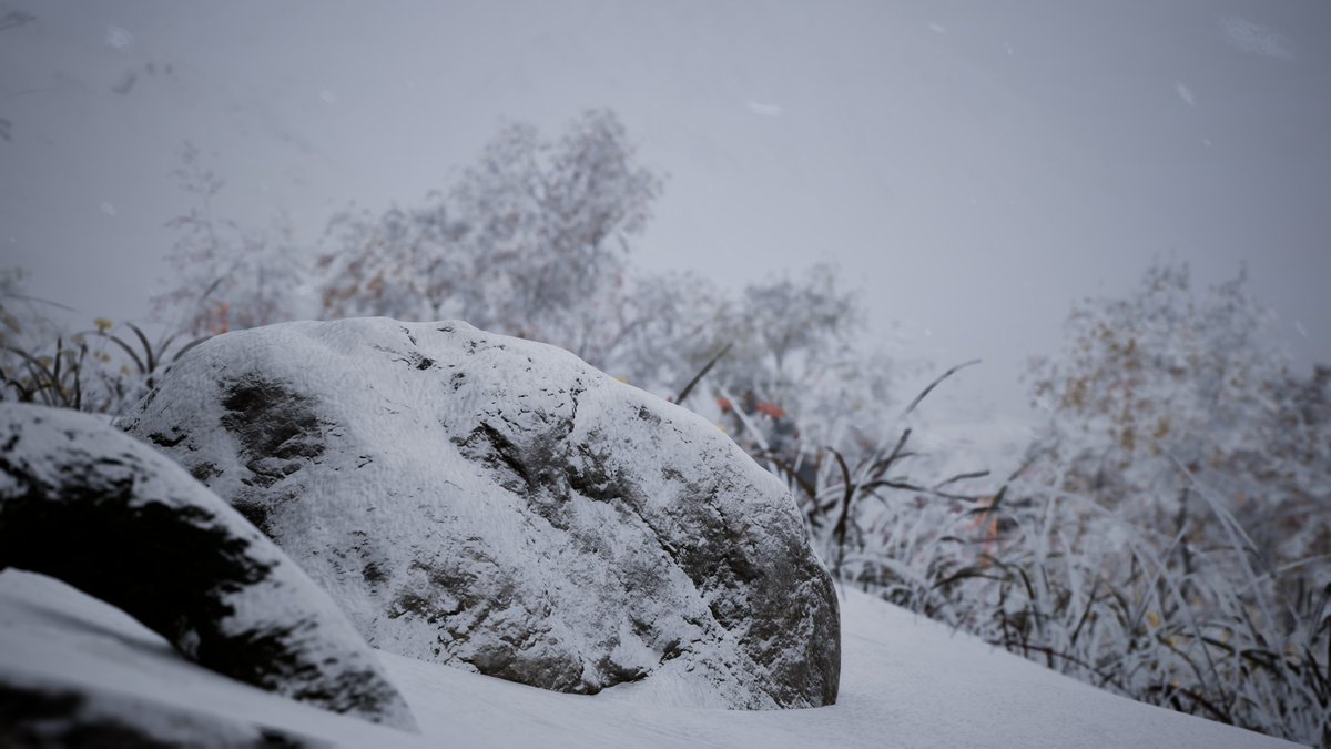 AFlyHunny tweet media