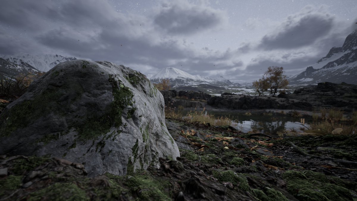 AFlyHunny tweet media