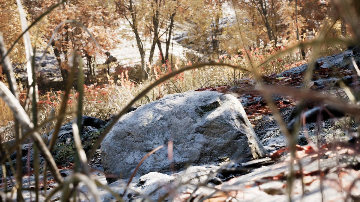 AFlyHunny tweet media