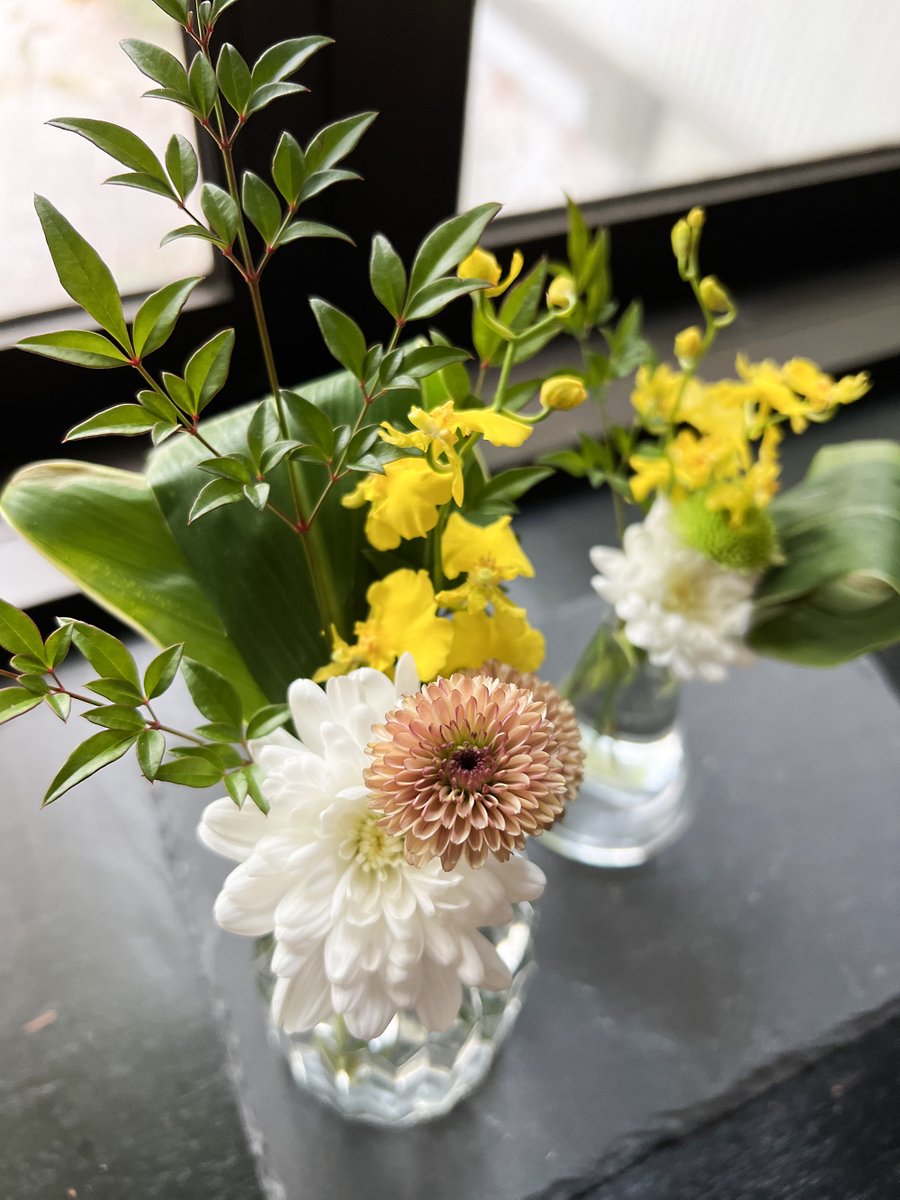 2020スマイルフラワープロジェクト (@jfc1187) / Posts / X