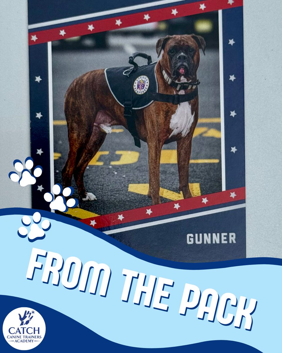 CATCHdogtrainer's tweet image. “Gunner doesn’t need words. He just knows when someone needs comfort and he shows up every single time.” - Tara, Gunner's handler
......
#CATCHCanineTrainersAcademy #DogTraining #DogTrainer #AnimalEducation #FromThePack