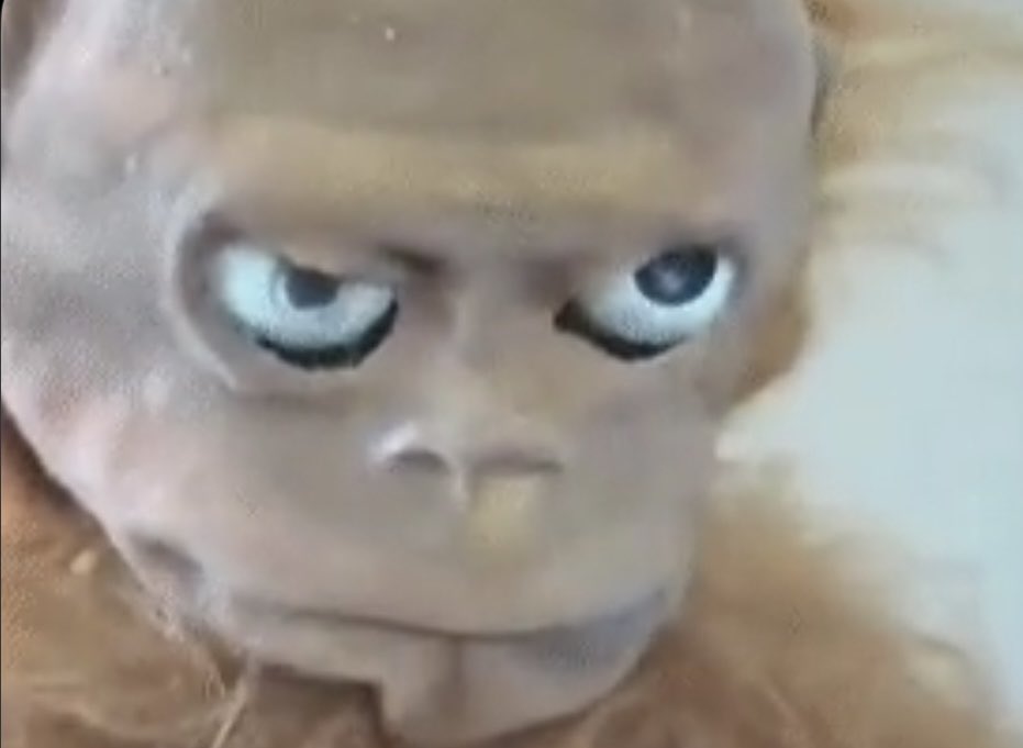 ainternetfrog's tweet image. 😭😭😭😭😭😭😭😭😭😭😂😂😂😂😂😂😂😂😂😂😂😂😂😂😂😂😂😂😂😂😂😂😂😂