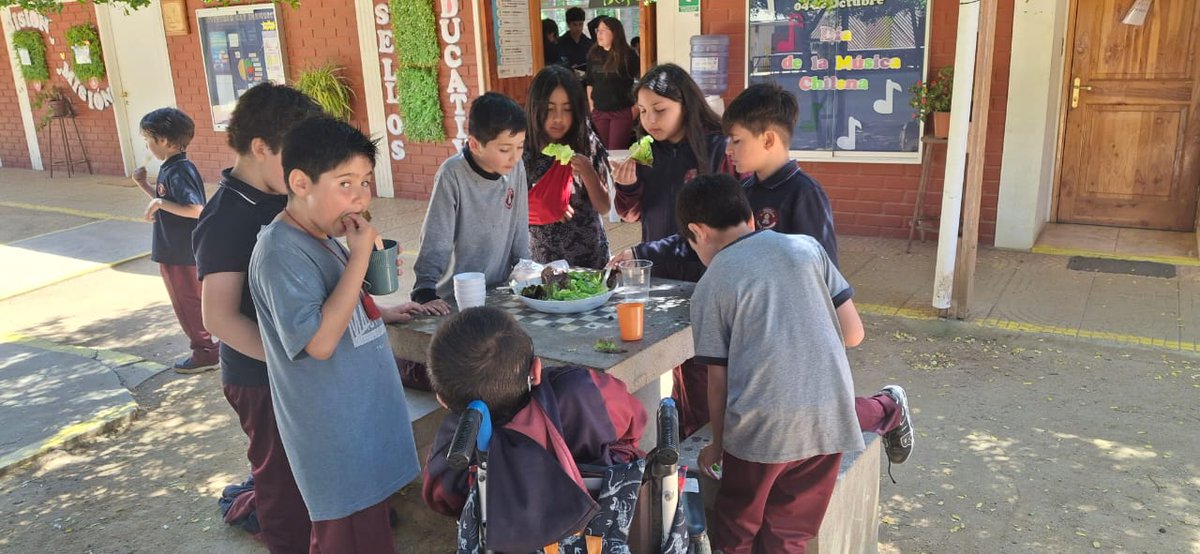 Escuela El Convento tweet media