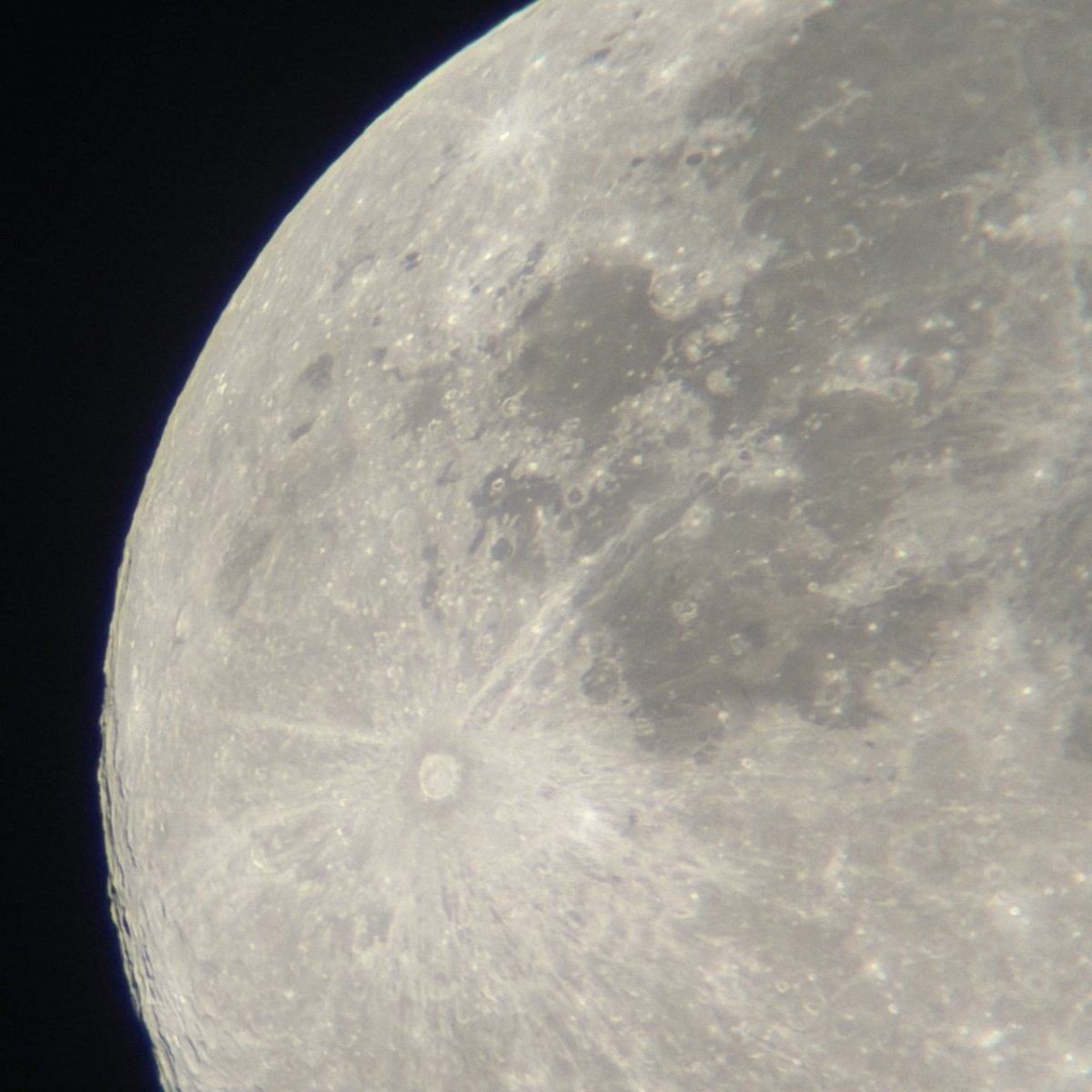 TheyCallme26's tweet image. biggest moon of the year 🔭