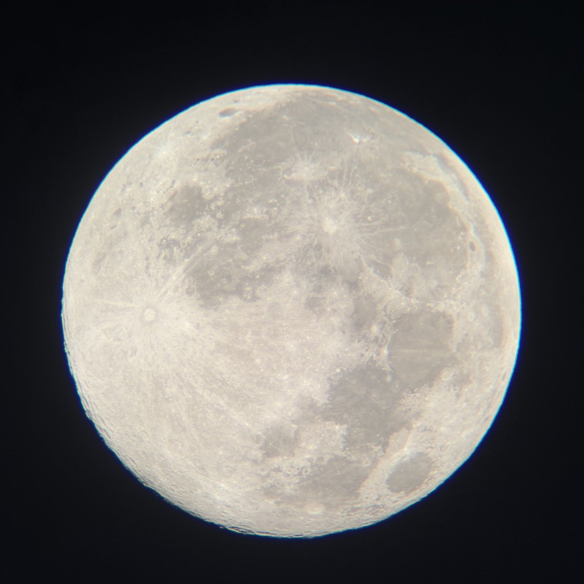 TheyCallme26's tweet image. biggest moon of the year 🔭