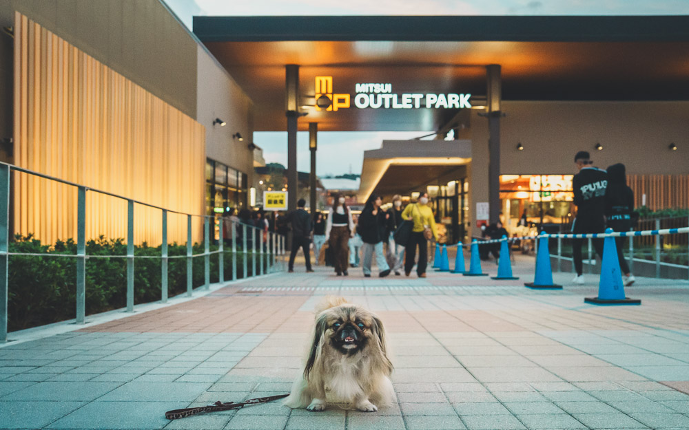 ついにオープン！『三井アウトレットパーク岡崎』のレポをアップしました。6割以上のお店がワンコ入店OKだった inucafe-repobu.com/article/outlet…