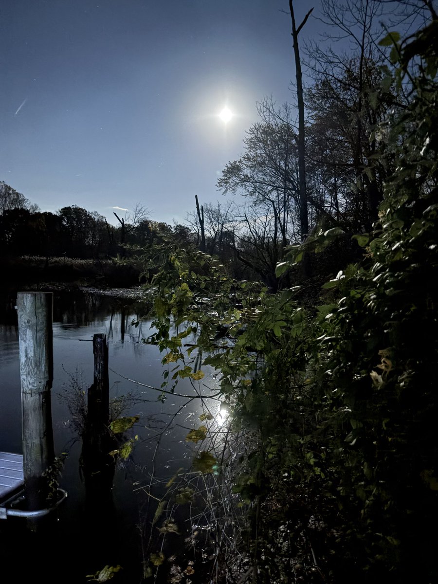 Slanderous tweet media