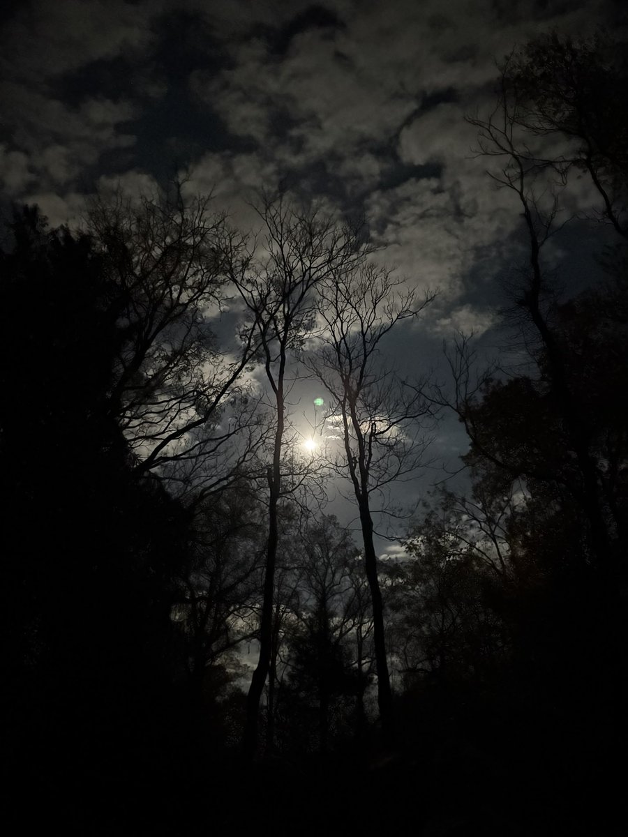 Slanderous tweet media