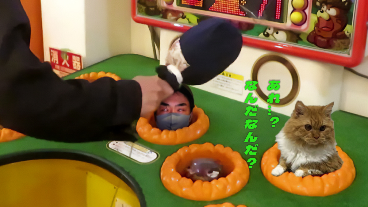 リバースとさせていただきます。 リバースジーニー🧞‍♂️ (@reversegenie321) / Posts / X