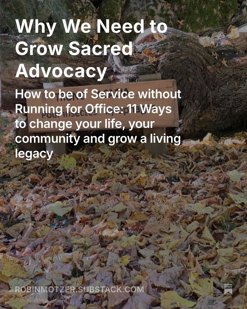 RobinMotzer's tweet image. Why We Need to Grow Sacred Advocacy, by @RobinMotzer open.substack.com/pub/robinmotze…