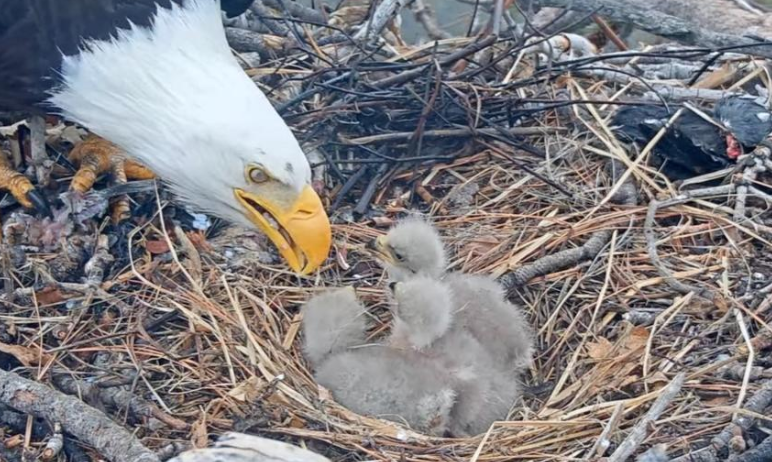 PeteWriting's tweet photo. #Writer #Poetry #WritingCommmunity #Scribblings 

Today's clickety clicks😉  

1. Storming. Poetry.  

Once a team comes together, they fall apart. #Forming #Norming #Performing

https://t.co/YTpNW2ryr7 https://t.co/3MbOSuhuhP