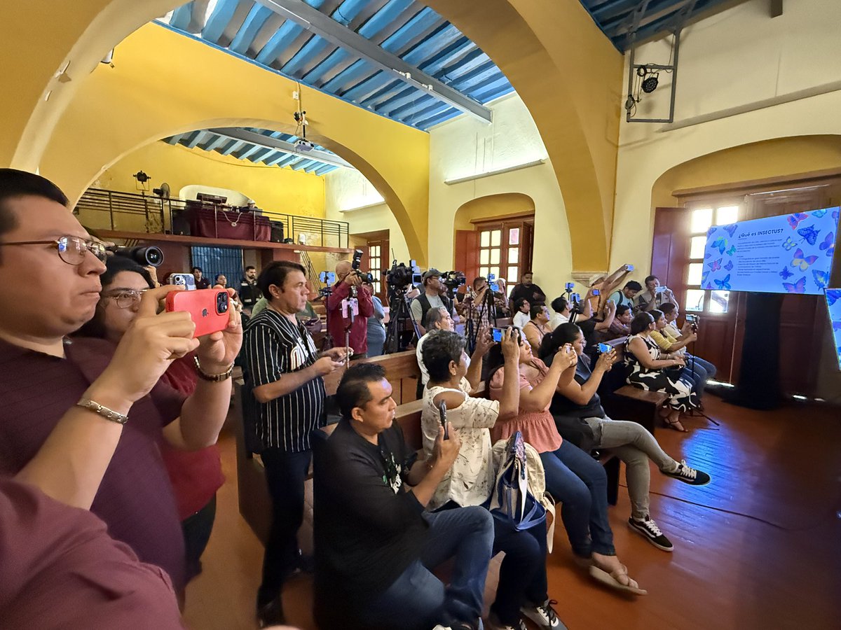 #RuedaDePrensa Compartimos con los medios de comunicación los detalles de #insectus, una exposición que une 𝗰𝗶𝗲𝗻𝗰𝗶𝗮, 𝗮𝗿𝘁𝗲 𝘆 𝗰𝘂𝗹𝘁𝘂𝗿𝗮 𝗽𝗮𝗿𝗮 𝗮𝗰𝗲𝗿𝗰𝗮𝗿𝗻𝗼𝘀 𝗮𝗹 𝗳𝗮𝘀𝗰𝗶𝗻𝗮𝗻𝘁𝗲 𝗺𝘂𝗻𝗱𝗼 𝗱𝗲 𝗹𝗼𝘀 𝗶𝗻𝘀𝗲𝗰𝘁𝗼𝘀. 🐝