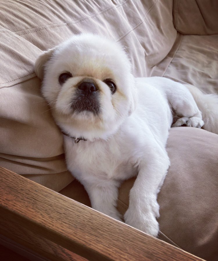 ゆいまーる 𝑶𝒏𝒍𝒚ゆいまーる (@maaru517) / Posts / X