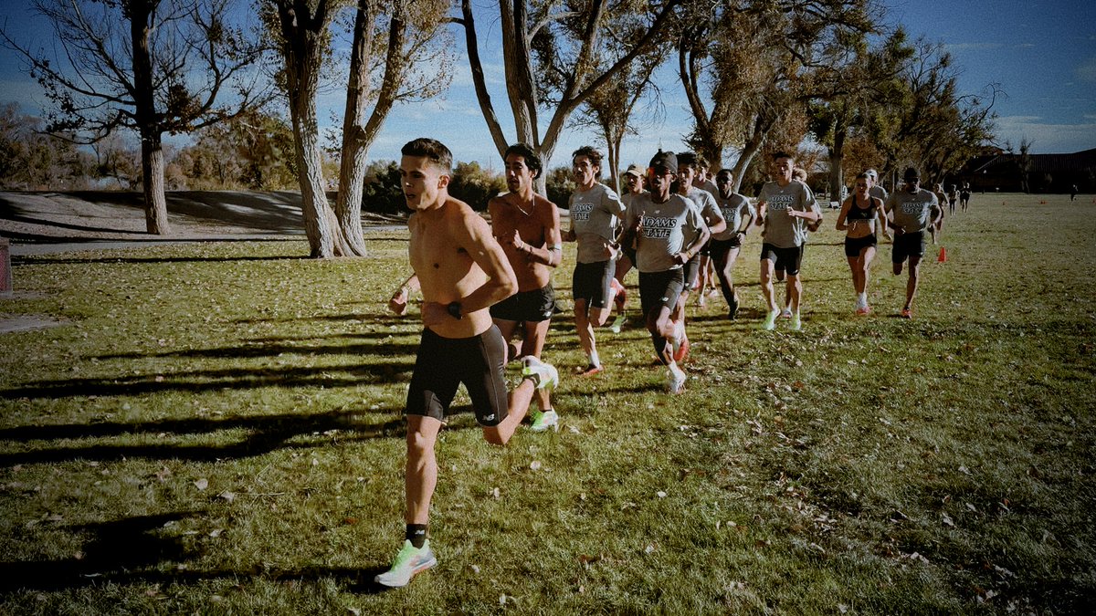 TRACK: All-Access tweet media