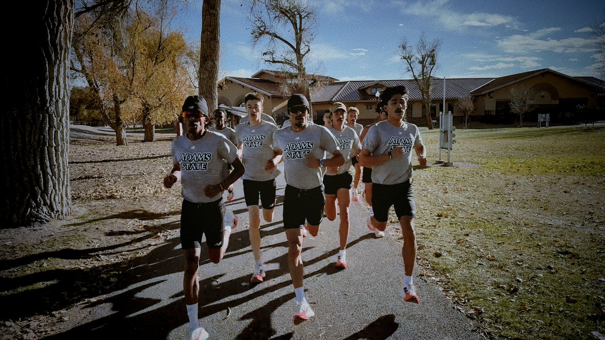 TRACK: All-Access tweet media