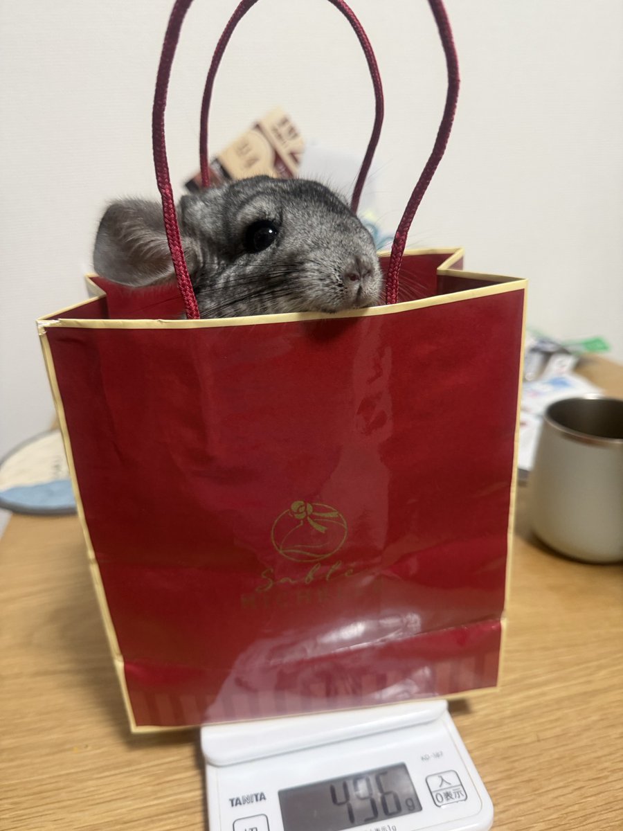 ぴーち (@Yk8yGz) / Posts / X