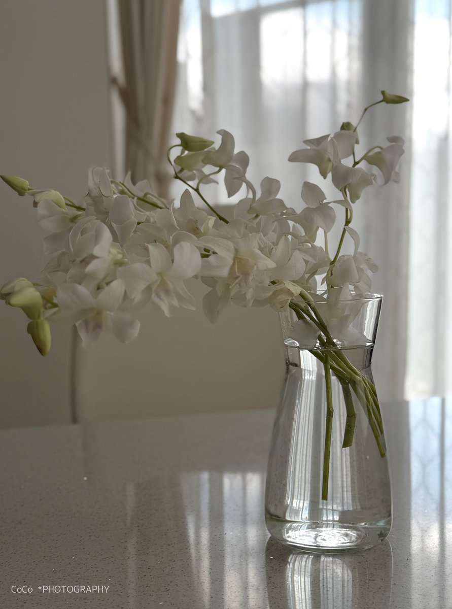 cocoページ coco (@39coco39coco) / Posts / X