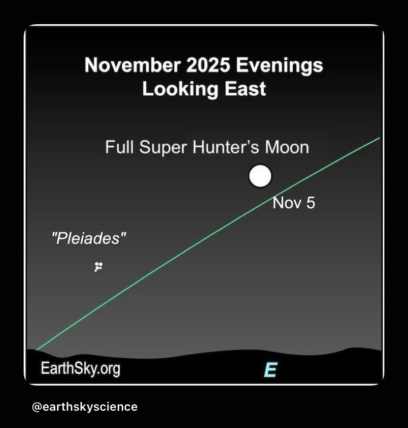 Kathy Sabine (@kathysabine9) on Twitter photo 