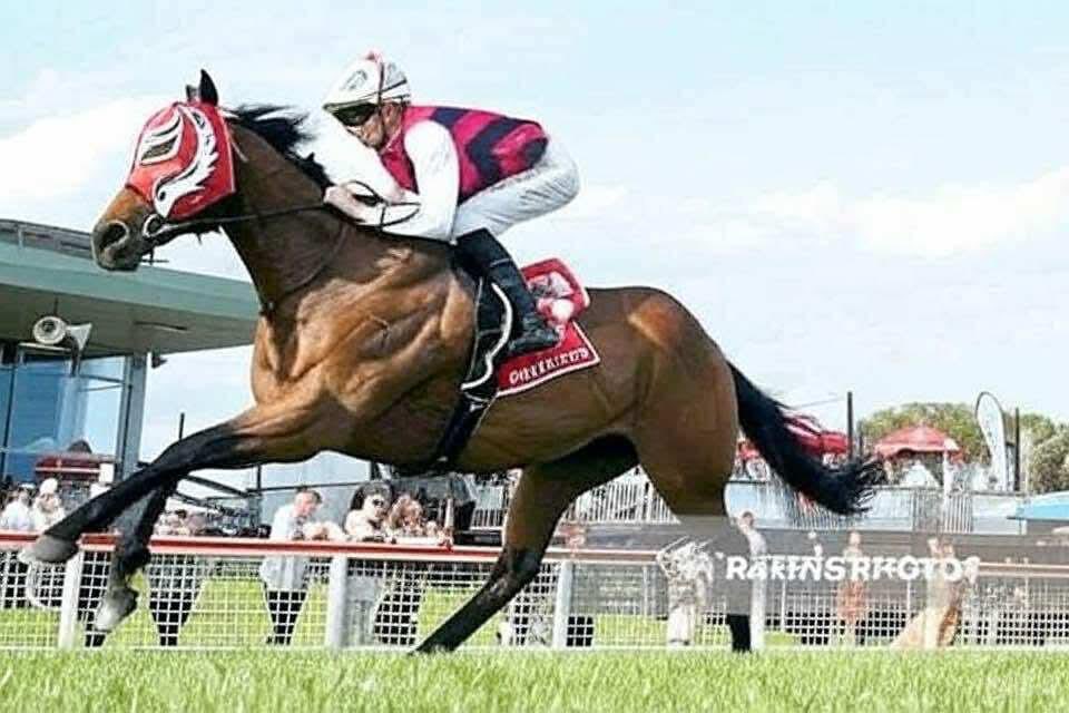 Barry Fill tweet media