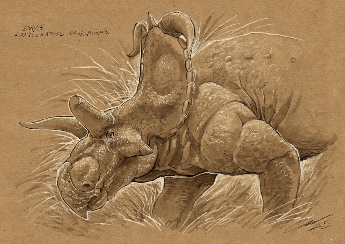 Bull.Falcon (@FalconBull) / Posts / X