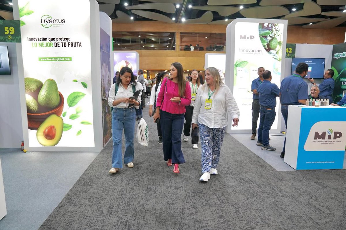 En el marco del crecimiento exponencial del aguacate hass, nuestra gerente subrayó que cerca del 35% de quienes participan en esta cadena son mujeres, reflejando el compromiso del ICA con un desarrollo sostenible, equitativo e inspirador para nuevas generaciones. 💚

Desde