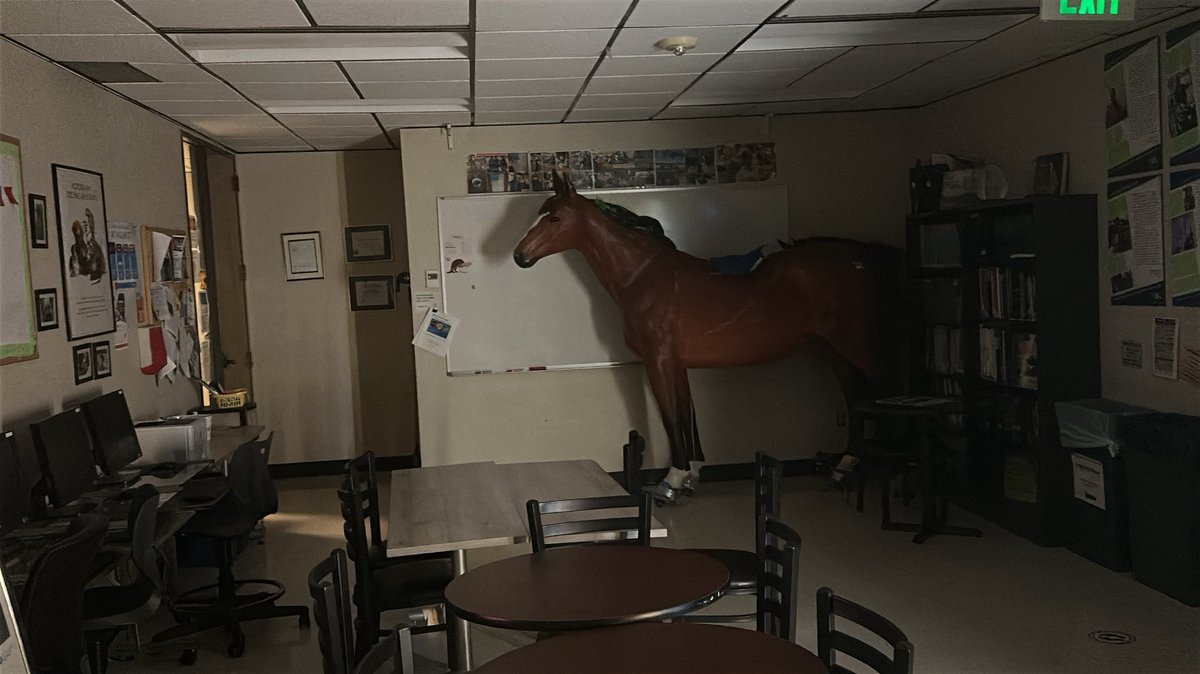 Dammit, I got stuck in the horse backrooms again