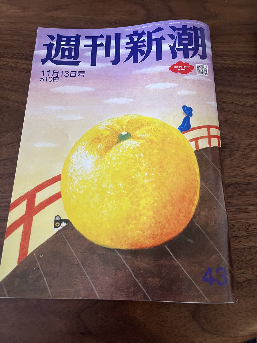 11/6発売の週刊新潮書評欄巻頭で拙著『見えない死神』amzn.to/490YGqVを元APU学長の出口治明名誉教授に評していただきました。
文字数いっぱいに私が伝えたかった本書の読みどころを余すことなく紹介してくださいました。
懸命に生きようとしたけれど、叶わなかった現実を思い出しています。