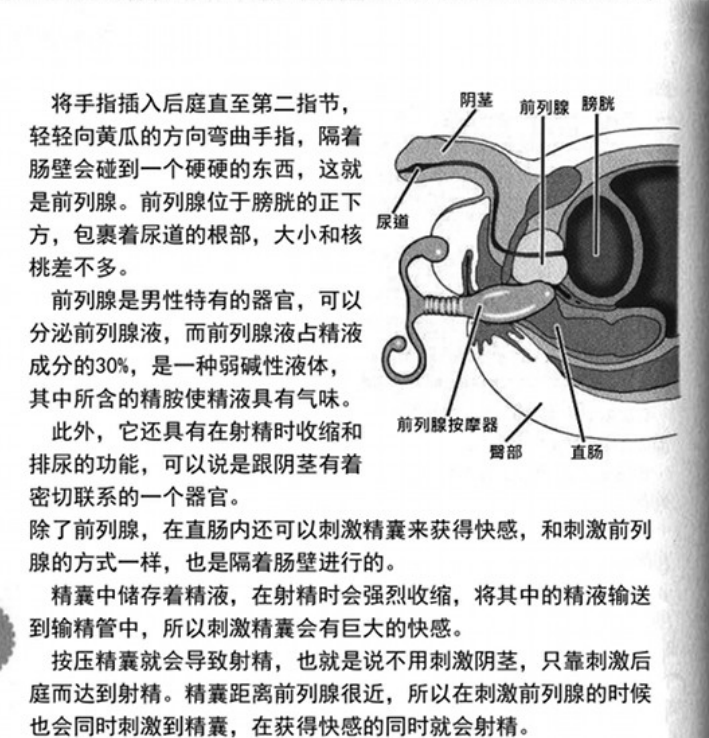 前列腺超爽高潮科普Prostate orgasm knowledge tweet media