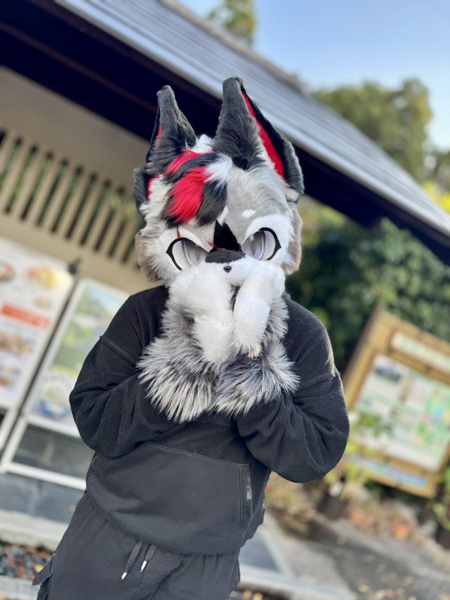 遅刻魔フミ tweet media