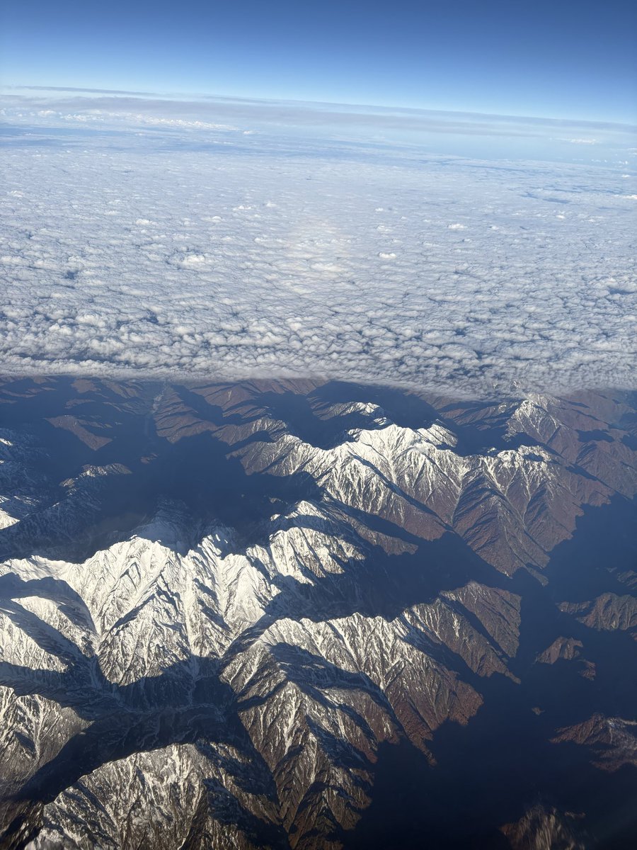 吉成 晃 / Akira YOSHINARI tweet media