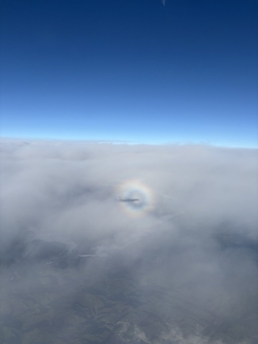 吉成 晃 / Akira YOSHINARI tweet media