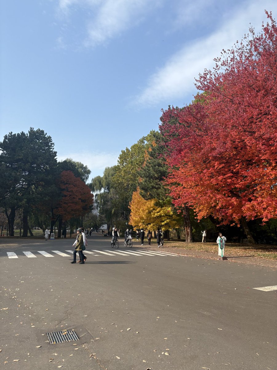 吉成 晃 / Akira YOSHINARI tweet media