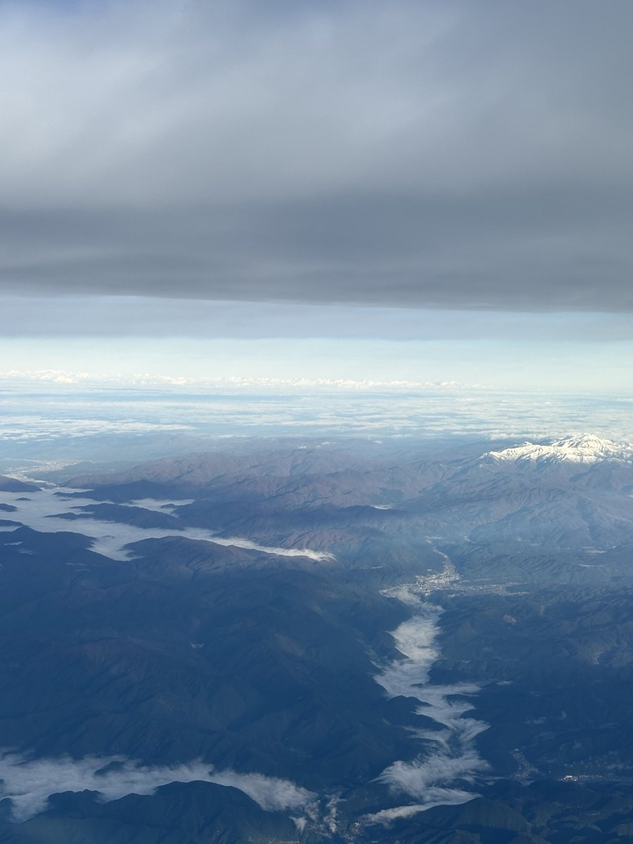 吉成 晃 / Akira YOSHINARI tweet media