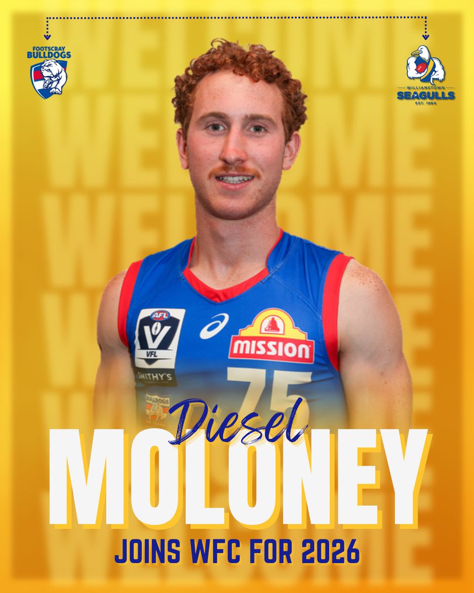 NEW GULL IN TOWN 🟡🔵

Welcome Diesel Moloney to the flock! 

The 20-year-old mid joins us after a 2025 seasons with Footscray and Deer Park — and he’s ready to bring the heat in 2026. 💪

Let’s give Diesel a warm welcome in the comments👏

To read more: williamstownfc.com.au/moloney-heads-…