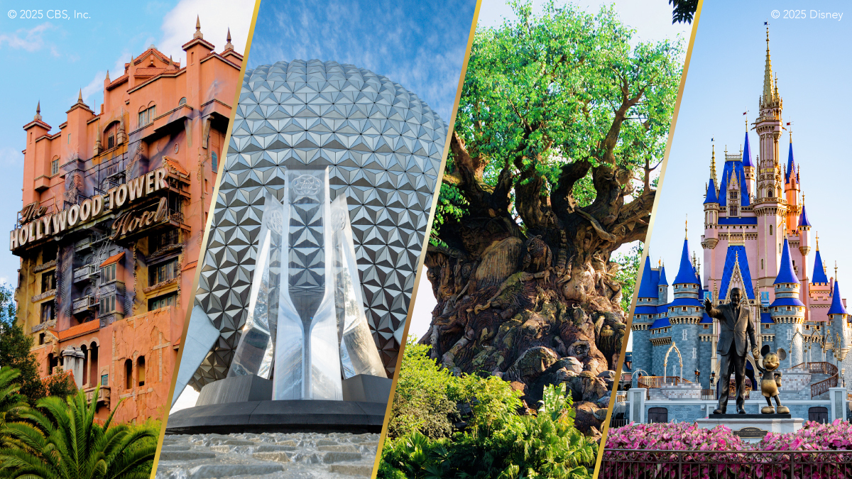 待望の！直行便で #フロリダディズニー へ 成田⇔オーランドに