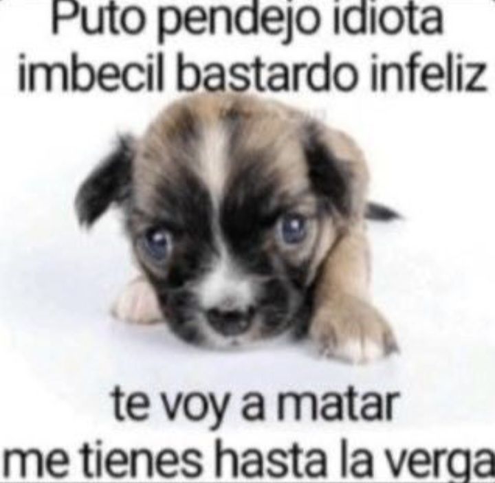 Bastibasti tweet media