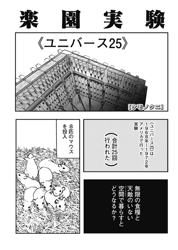 【実験】飢えも敵もいない空間で暮らすとネズミはどうなるか？1/2