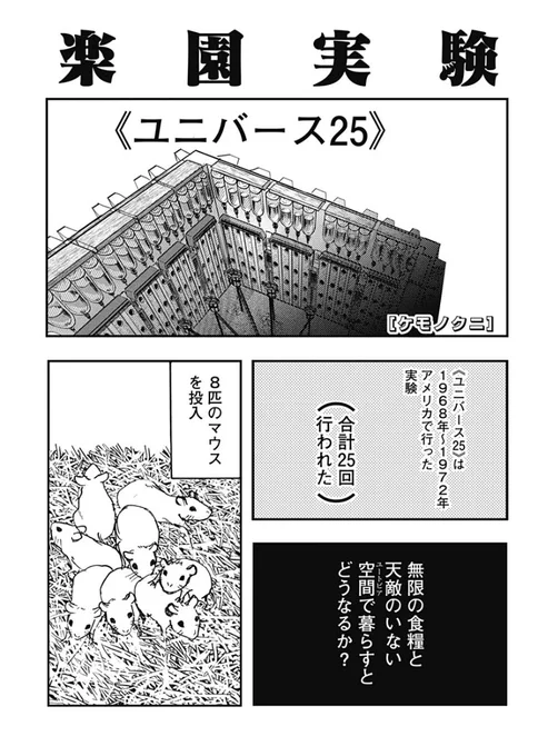 【実験】飢えも敵もいない空間で暮らすとネズミはどうなるか?1/2 