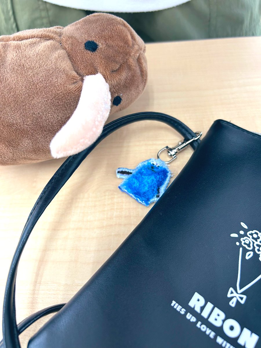 しぐるぐる (@Shigu_Kmbk) / Posts / X