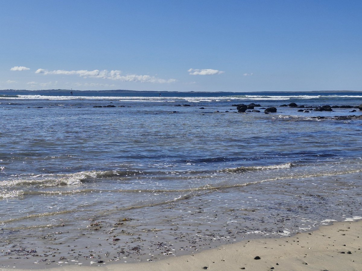 James Will tweet media