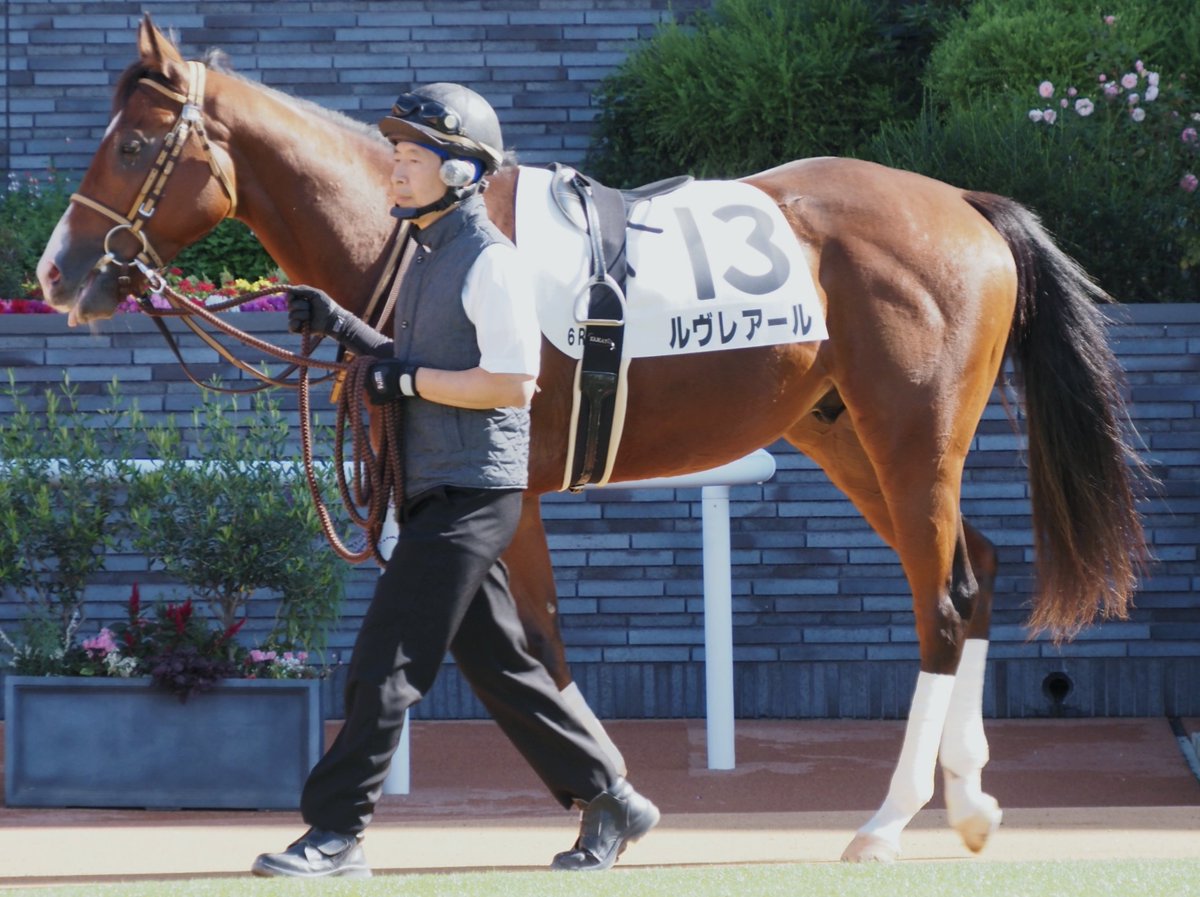 馬のある静物２ et-coquine on X