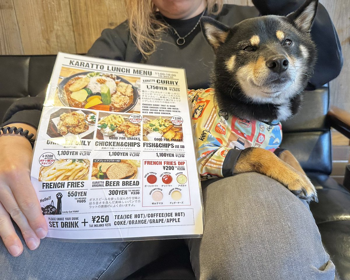 Gin_kuroishiba's tweet photo. からあげーー✨✨
#柴犬
#黒柴
#ランチ
#karatto
#店内わんこOK
#箱根ランチ https://t.co/0okR8FITuM