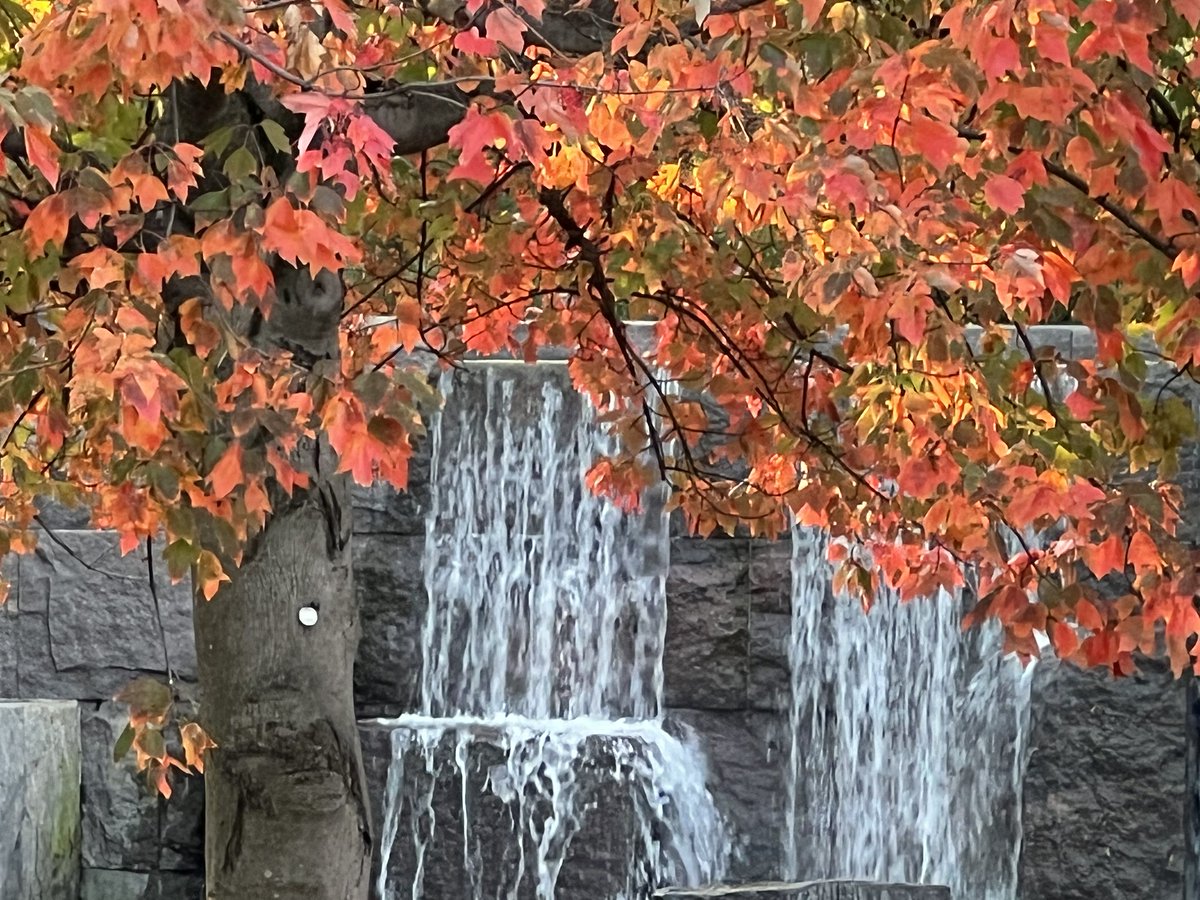 capitalweather's tweet image. 🌤️ Sunshine in abundance today but brisk breezes keep things chilly
🌬️ Warmer Friday before a few showers move in at night
❄️ Much colder air arrives early next week — with even a few flurries possible👀
Full forecast 👉 cwg.live
Photo by @RiverGirl707